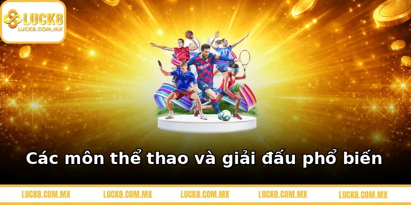 Các môn thể thao và giải đấu phổ biến