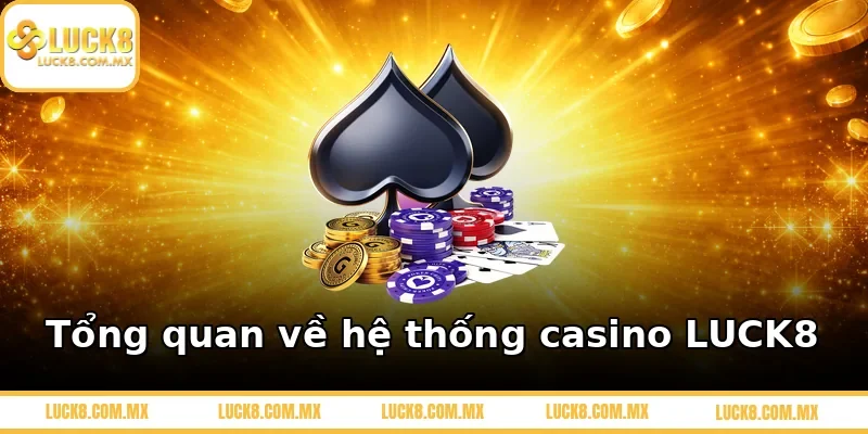 Tổng quan về hệ thống casino LUCK8